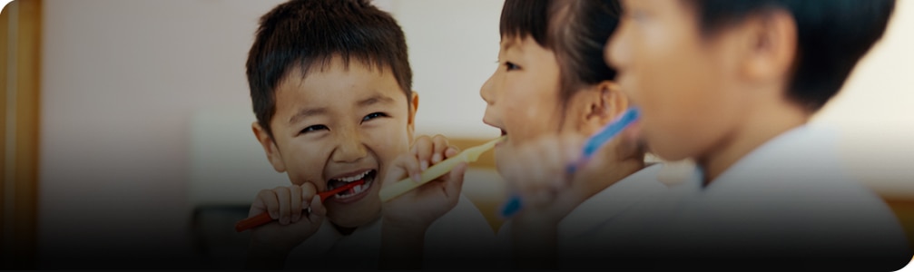 Ontdek de door onze experts ontwikkelde producten